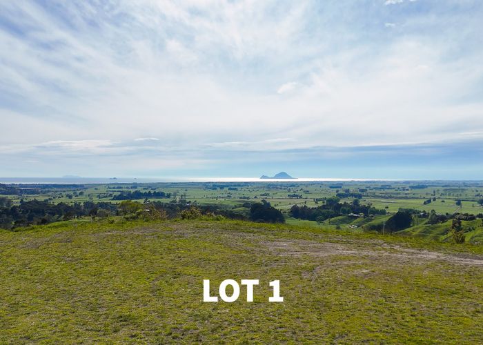  at 220 Withy Road, Manawahe, Whakatane, Bay Of Plenty