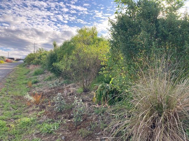  at 156 Morrison Road, Pukekawa, Franklin, Auckland