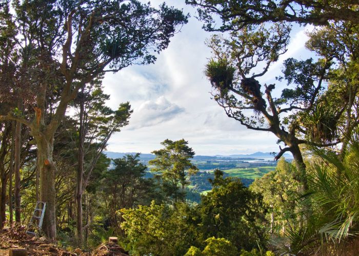  at 342 Cames Road, Wellsford