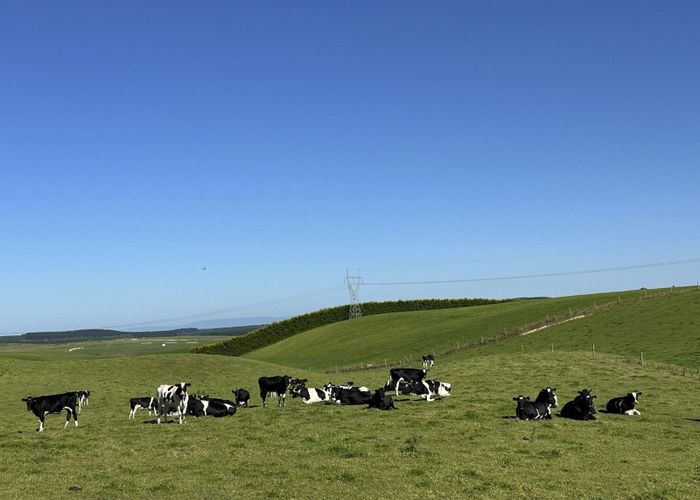  at 675 Cross Road, Dacre, Southland, Southland