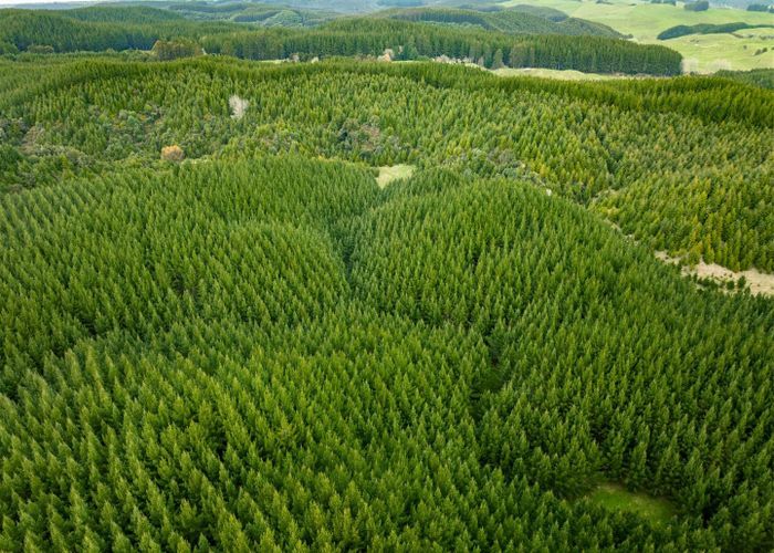  at State Highway 32, Turangi, Taupo, Waikato