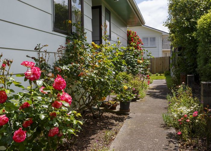  at 56 Hyde Avenue, Richmond Heights, Taupo