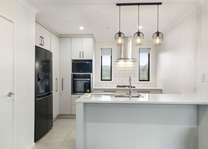  at 19 Harry Richards Way, Pokeno, Franklin, Auckland