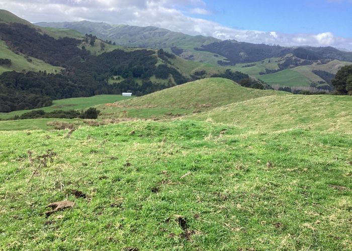  at 784 Mangawara Road, Hoe-O-Tainui, Tahuna
