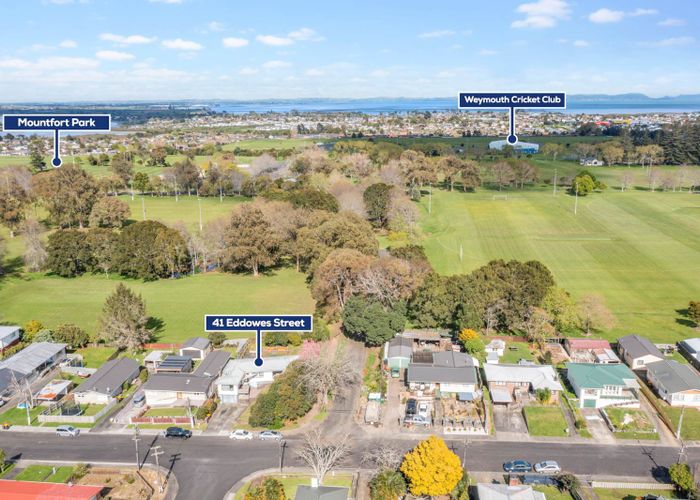  at 41 Eddowes Street, Manurewa, Auckland