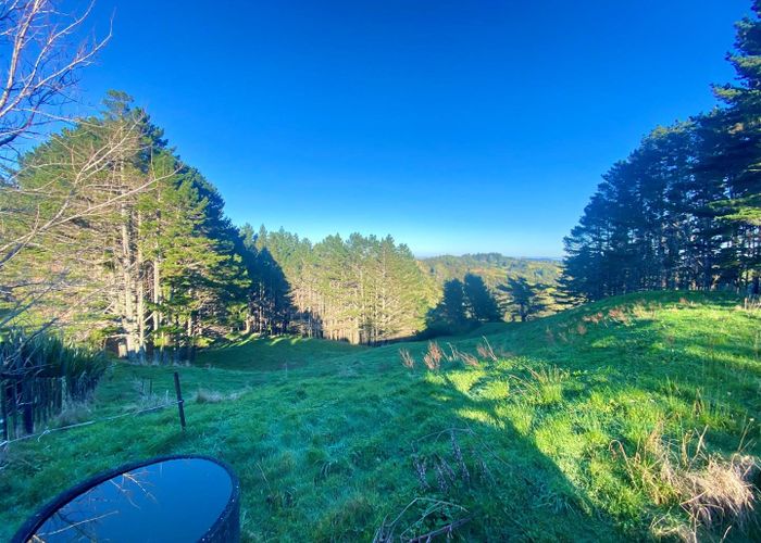  at 482 Krippner Road, Puhoi, Warkworth