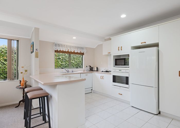  at 169B Maungatapu Road, Maungatapu, Tauranga, Bay Of Plenty