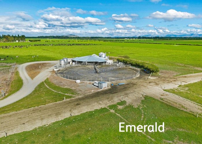  at Aurora Dairies, Hororata, Selwyn, Canterbury