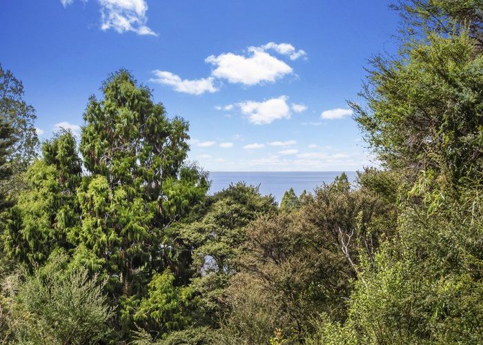  at 19 Rauhuia Crescent, Parau, Waitakere City, Auckland