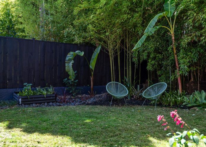  at 3/886 Dominion Road, Mount Eden, Auckland City, Auckland