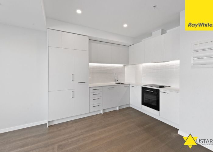  at 508/1 Enfield Street, Mount Eden, Auckland City, Auckland