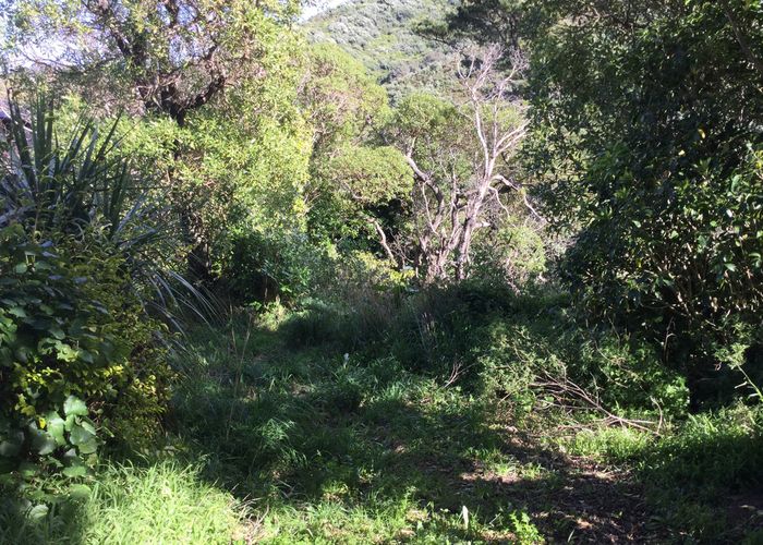  at 13 Twomey Grove, Houghton Bay, Wellington