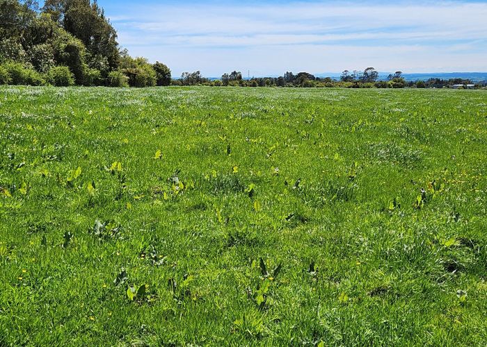  at Lot 1, 452 Surrey Road, Tariki, New Plymouth, Taranaki