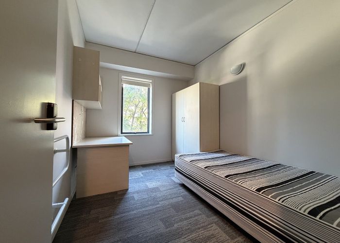  at 4H/8 Mount Street, City Centre, Auckland City, Auckland