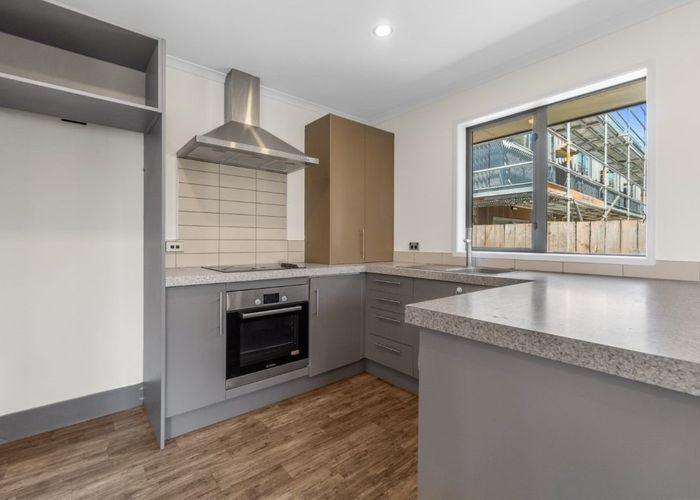  at 20 Stadium Lane, Whitiora, Hamilton
