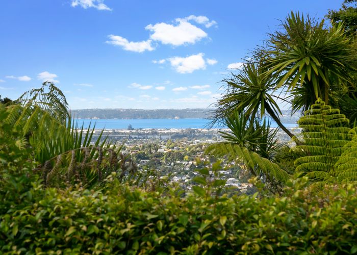  at 6 Westridge Road, Titirangi, Auckland