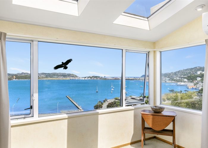  at 33B Treasure Grove, Hataitai, Wellington
