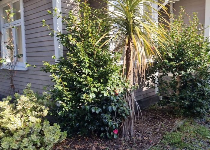  at 147 Main North Road, Papanui, Christchurch City, Canterbury