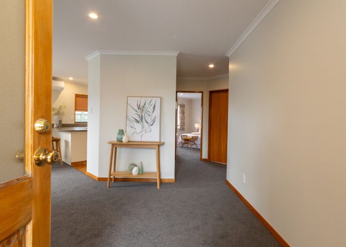  at 284 College Street, West End, Palmerston North