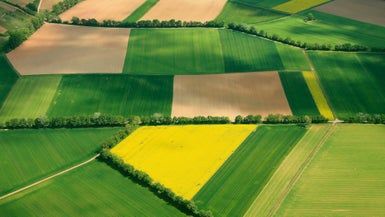  at 56A Needham Road, Drury