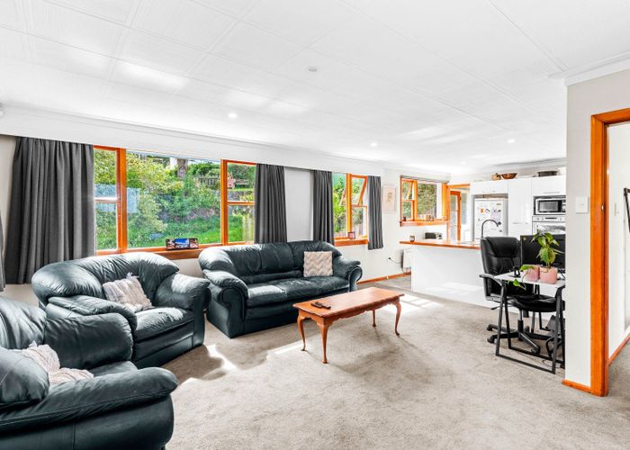  at 44 Larnach Road, Waverley, Dunedin, Otago