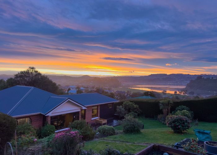  at 43 Sunbury Street, Andersons Bay, Dunedin