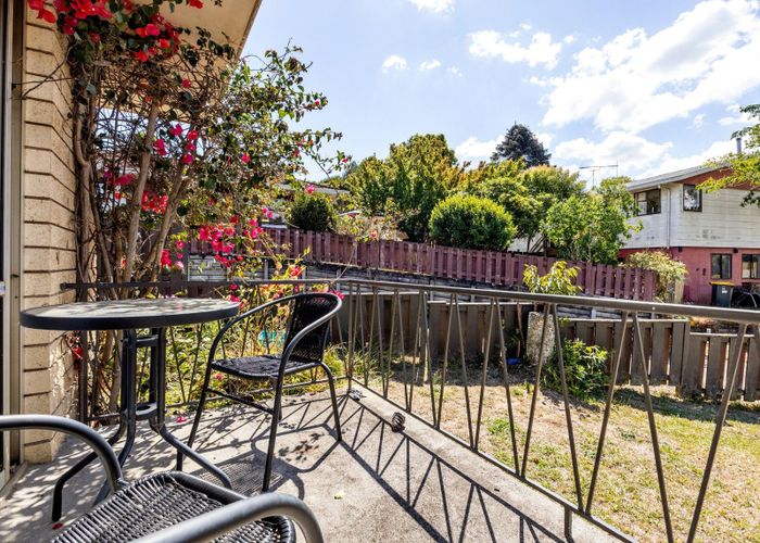  at 66 Hazelwood Avenue, Dinsdale, Hamilton