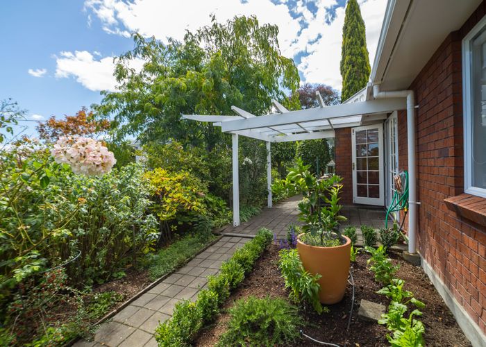  at 15 Second Street, Masterton, Masterton, Wellington