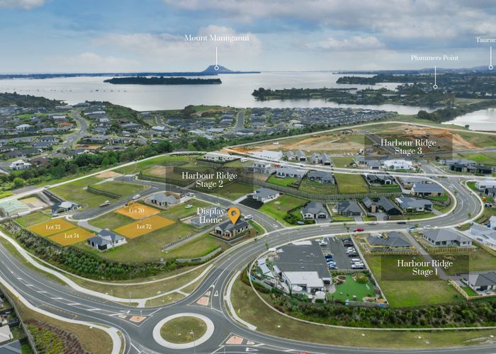  at 11 Seagrass Way, Omokoroa, Western Bay Of Plenty, Bay Of Plenty