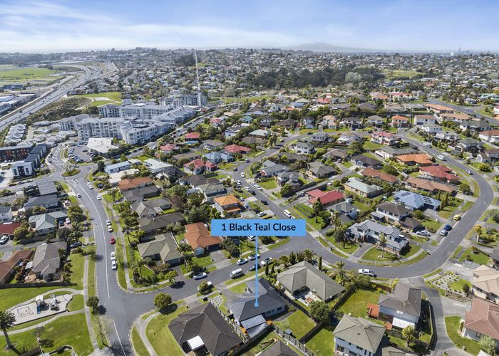 at 1 Black Teal Close, Unsworth Heights, Auckland