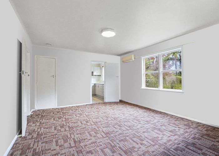  at 17B Tomin Road, Glenview, Hamilton