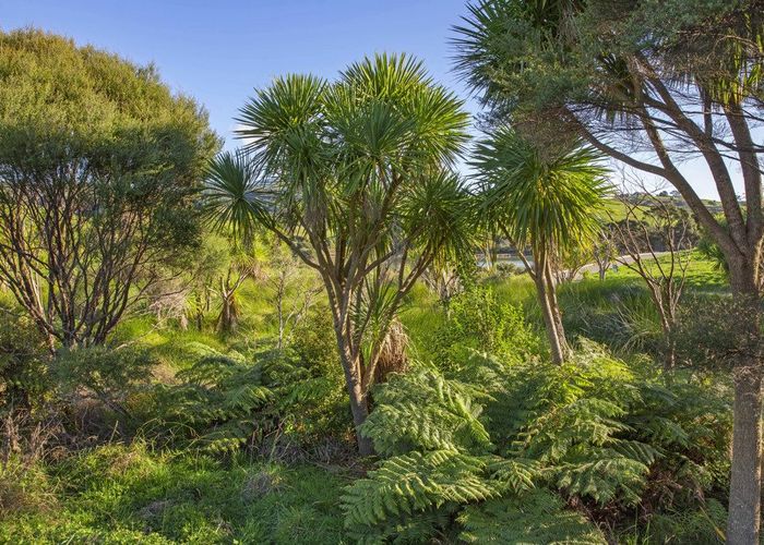  at 9 Waipatukahu Lane, Raglan, Waikato, Waikato