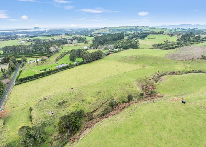  at 20 Laurel Drive, Whakamarama, Western Bay Of Plenty, Bay Of Plenty