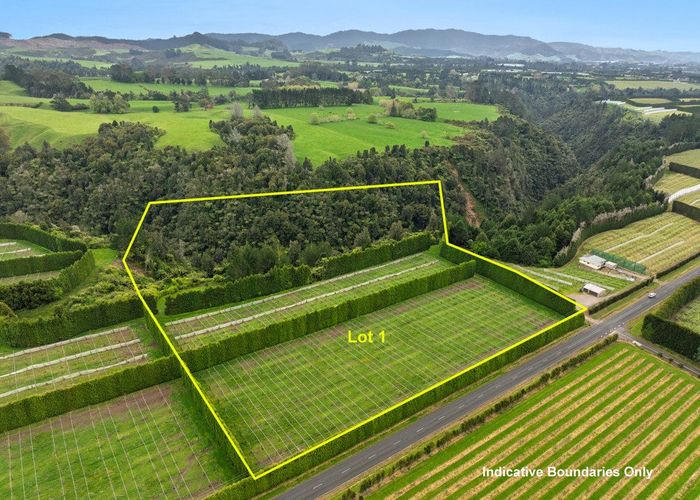  at 1010 Te Matai Road, Te Puke, Western Bay Of Plenty, Bay Of Plenty