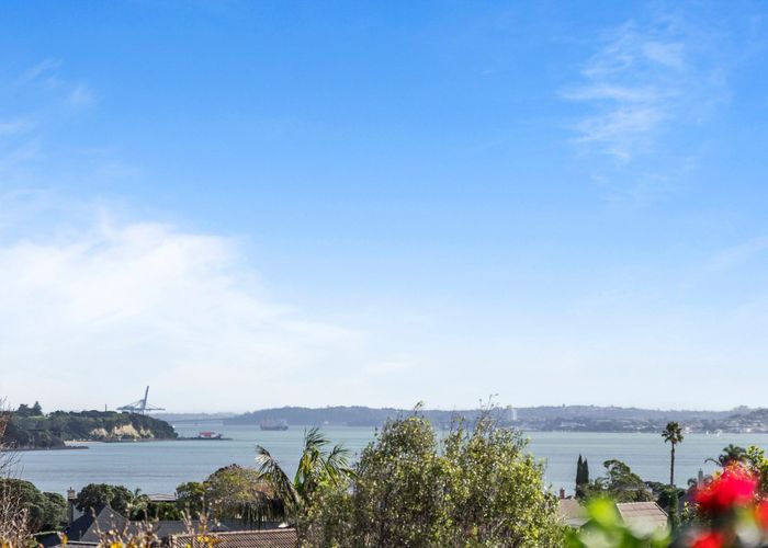  at 17 Waimarie Street, St Heliers, Auckland