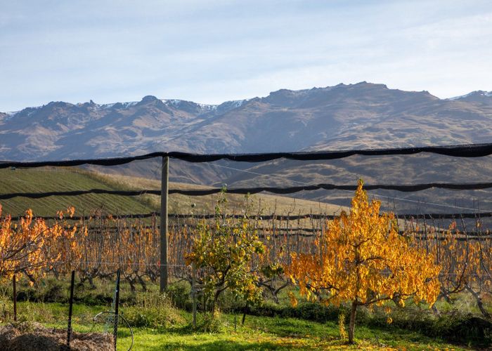  at 41 Cooper Lane, Cromwell, Central Otago, Otago