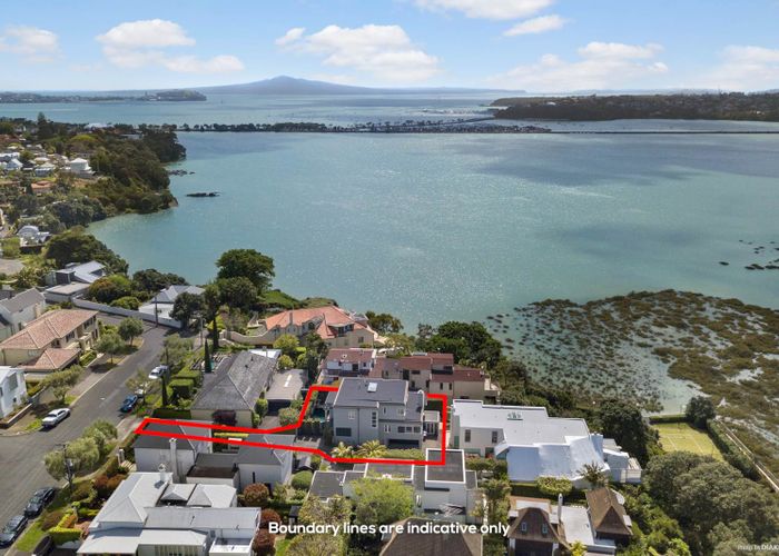  at 19 Elam Street, Parnell, Auckland
