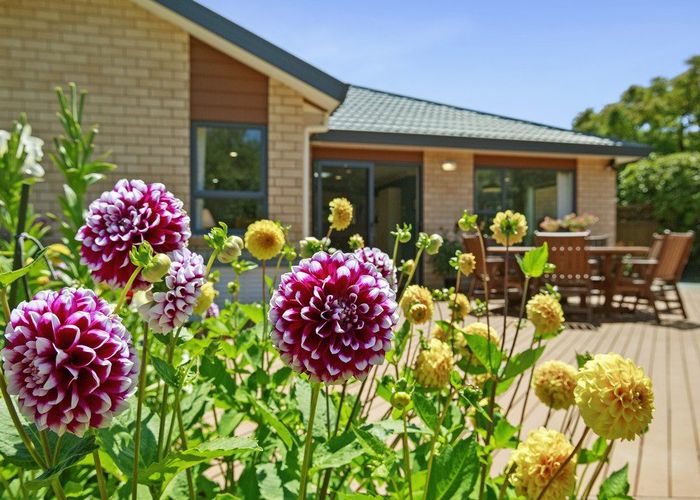  at 21 Mary Huse Grove, Manor Park, Lower Hutt, Wellington