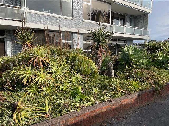  at 4/381 Tamaki Drive, Saint Heliers, Auckland City, Auckland