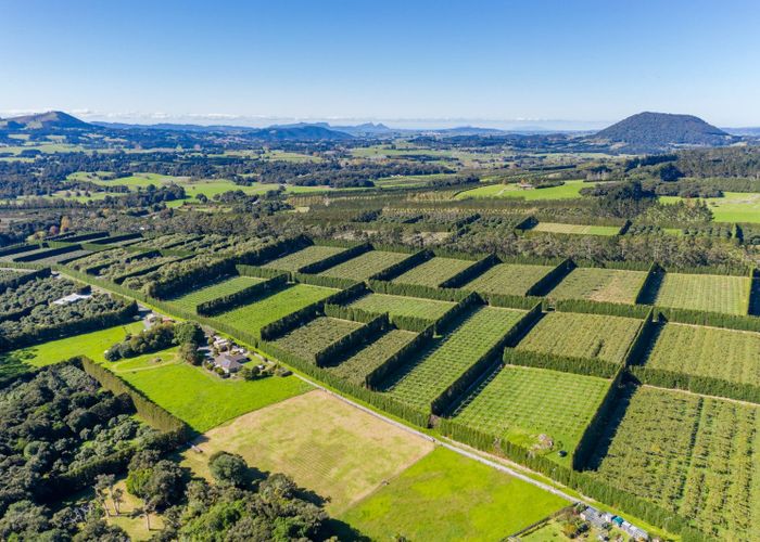  at Poroti, Whangarei, Northland