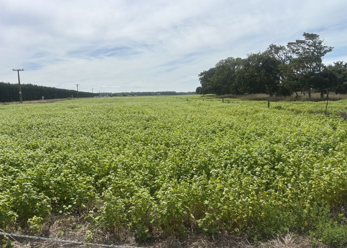  at Waimate Highway, Saint Andrews, Waimate, Canterbury