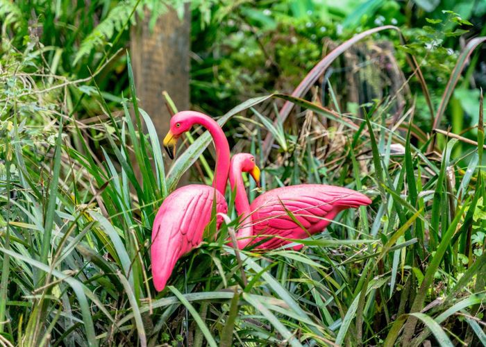  at 36 Kereru Grove, Greenhithe, Auckland