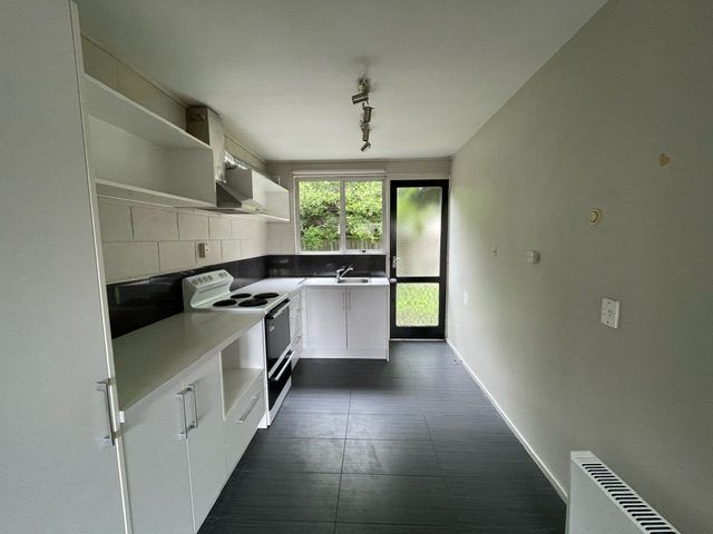  at 101 Nursery Road, Phillipstown, Christchurch City, Canterbury