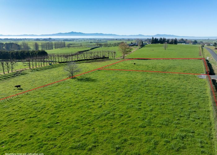 at Tauhei Road, Morrinsville, Matamata-Piako, Waikato