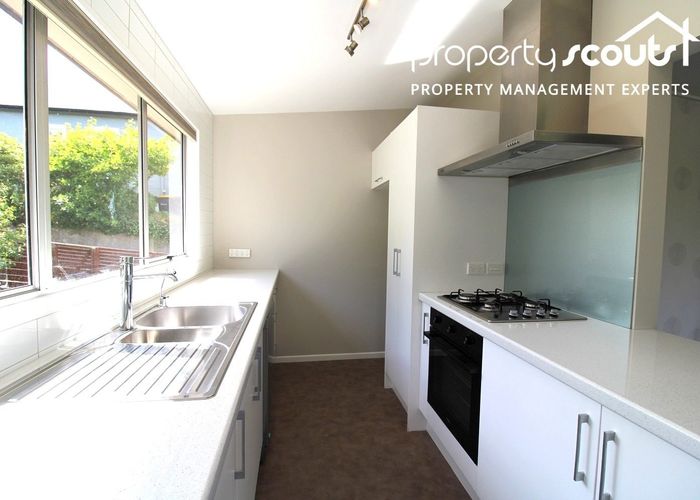  at 23 Henry Street, Maori Hill, Dunedin