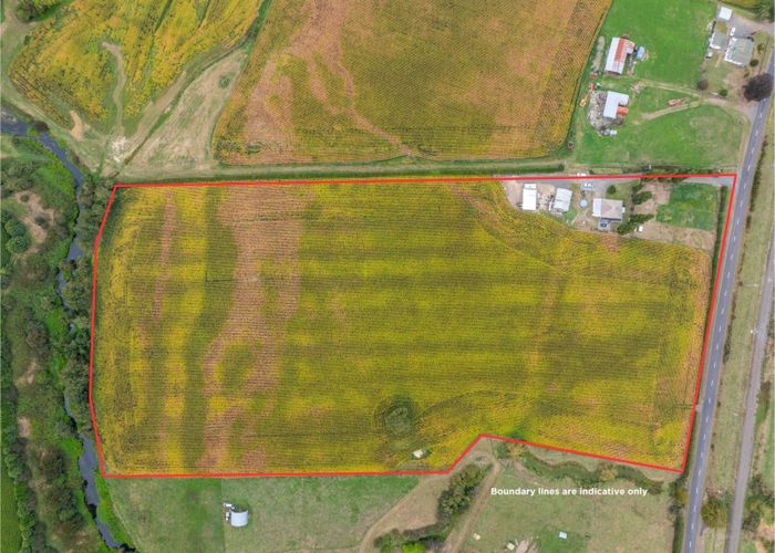  at 395 Kiwitahi Railway Road, Morrinsville, Morrinsville