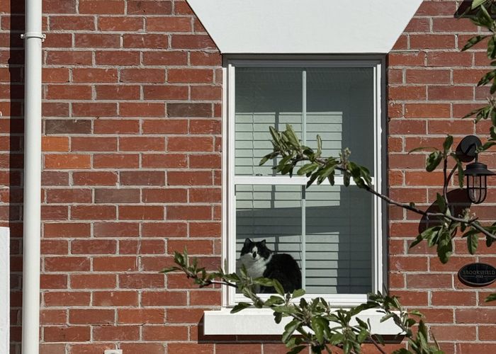  at 30 Hargest Crescent, Sydenham, Christchurch City, Canterbury