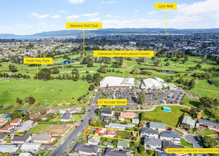 at 41 Arundel Street, Mount Roskill, Auckland City, Auckland