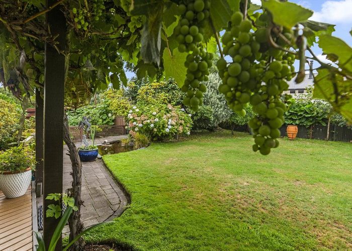  at 19 Buchanan Place, Sunnybrook, Rotorua