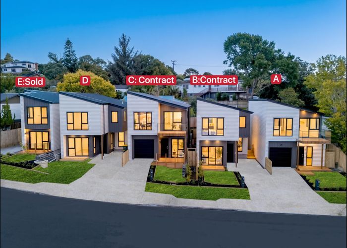  at 3C Terra Nova Street, Glen Eden, Waitakere City, Auckland